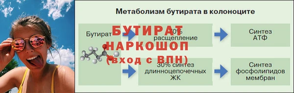 индика Богданович
