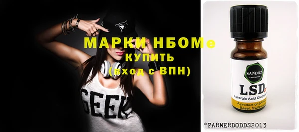индика Богданович