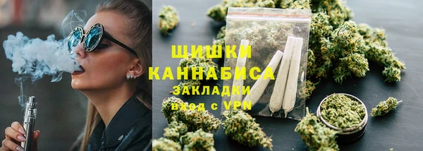 индика Богданович