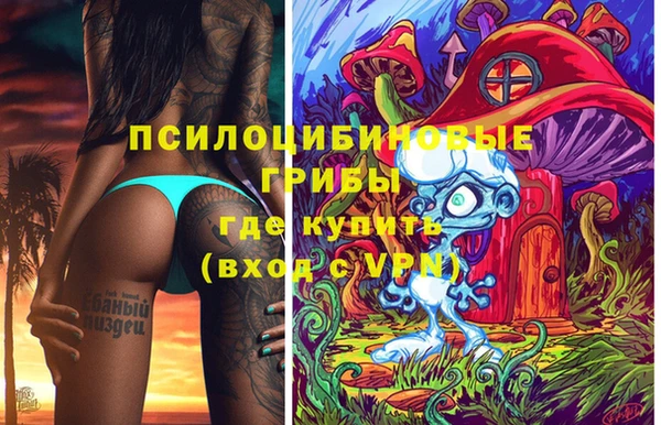 индика Богданович