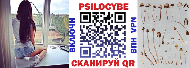 Псилоцибиновые грибы GOLDEN TEACHER  Городовиковск 