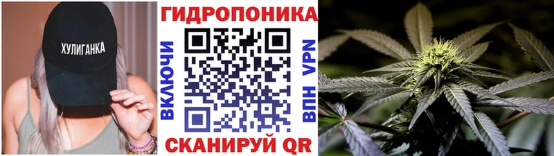 где продают наркотики  Городовиковск  Марихуана Amnesia 